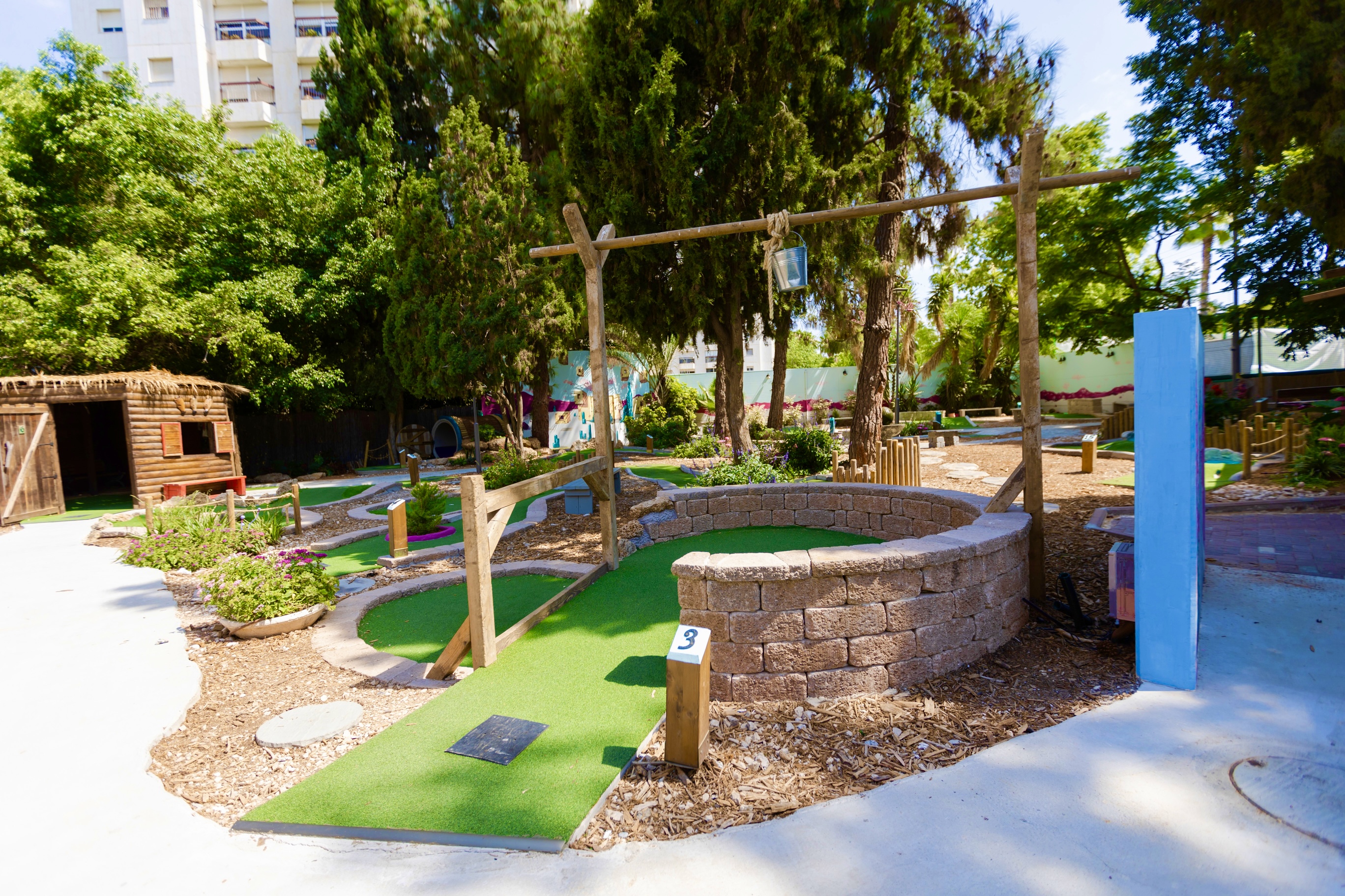 Social Media Management